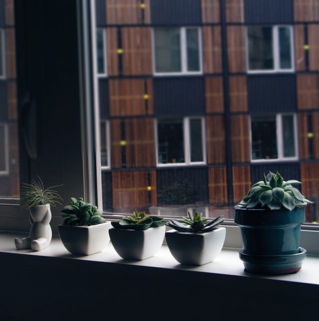 Why You Need An Indoor Air Evaluation